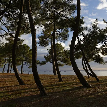 Escapade à 150m De La Du Betey Andernos-les-Bains